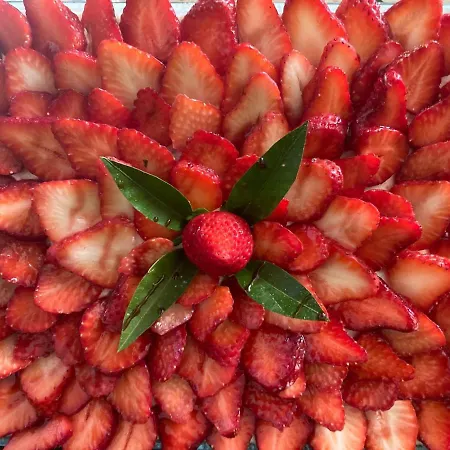 Sole Mare Bed & Breakfast Giardini Naxos